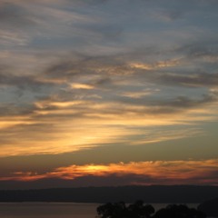 trevor hall-Forgive (mUzas0n remix)