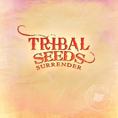 Tribal Seeds - Surrender (Rootfire Premiere)