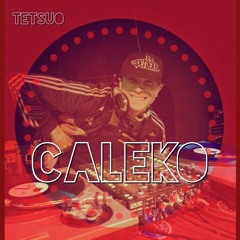 BreakBeat Escaped (dj Caleko 2016) Crazy mixing skills with a side of scratch