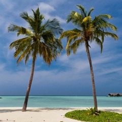 G - ISLAND