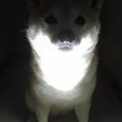 Caras Fuertes Hidra (Demo I)