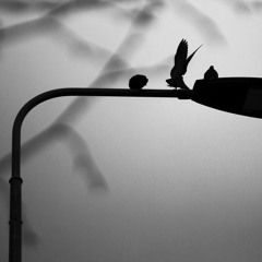 Give Up (Low Roar cover)