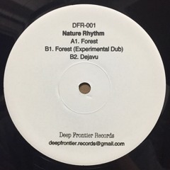 A1 NATURE RHYTHM - Forest <Preview>