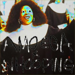 amoeba x whooping - demo rips (out now)