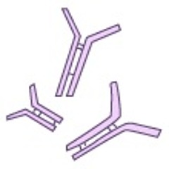 M. Bechterew -01- Einführung & Klinik
