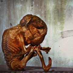 ¡¡Cárgueme La Verga!!