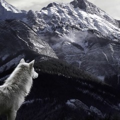 Warrior (ft Tinachi)