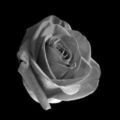 The Cycle - Prod. By IGNORVNCE