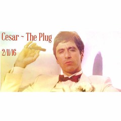 THE PLUG [2K16]