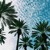 Artwork for Nell - Palm Trees [Music On The Dot Exclusive]