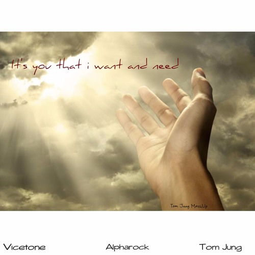Vicetone Vs Alpharock - It's You That I Want And Need (Tom Jung MashUp)