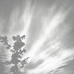 Silhouette's Of A Moment