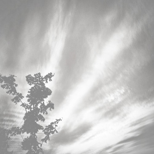 Silhouette's Of A Moment
