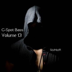 S(y)N(y)R - G-Spot Bass (Vol 13)