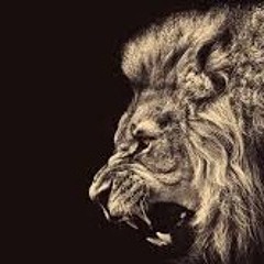 "Roar Shock Test" PREVIEW (Original Mix by Chris Adams)