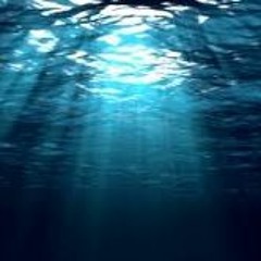 This Is About You (Jdilla TRIBUTE)