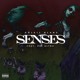 on Senses ft Rei Altru (Prod. Chop Diggie)