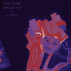 Arrows // DrSPACE FLIP [Pilerats.com Premiere] (free fucking download)