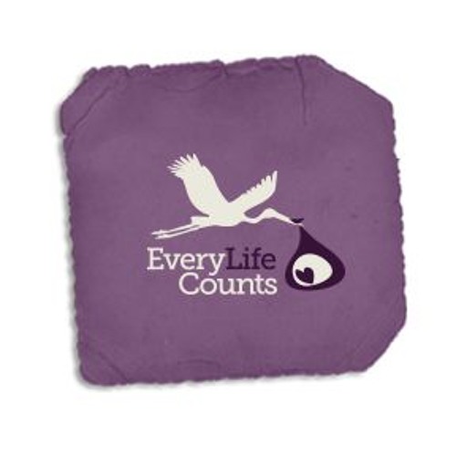 Stream Dan and Jenna Haley speak about their son Shane Michael, the 'Bucket list baby' by Every