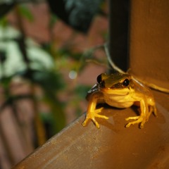 Gritta (prod. Sagan)