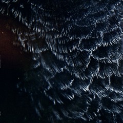 RFLX