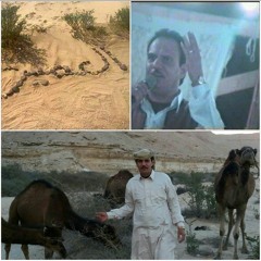 عادل العميري الدحية