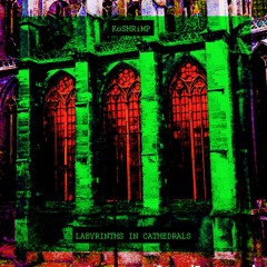 KöSHRiMP  - UNDER SOIL JOURNEY (video link in description )