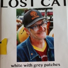 Have You Seen This Lost 'Cat'?