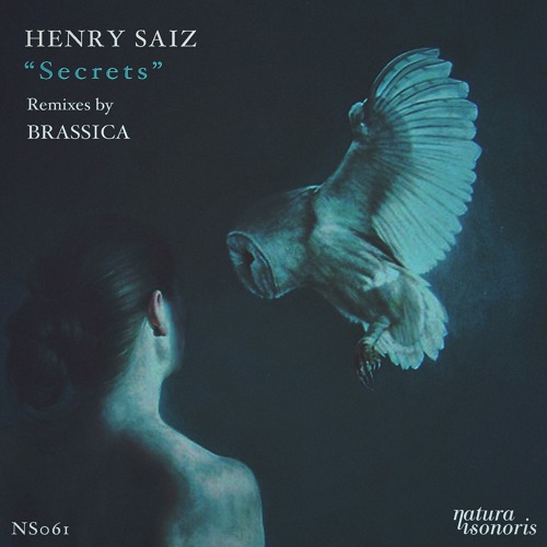 Henry Saiz - Secrets (Original Mix)