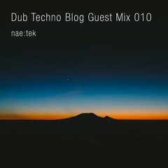 Dub Techno Blog Guest Mix 010  - Naetek
