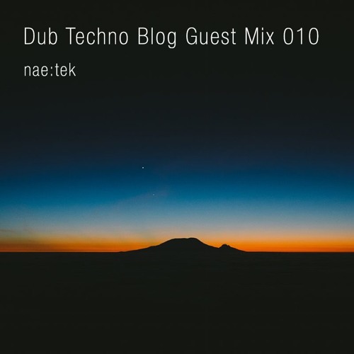 Dub Techno Blog Guest Mix 010  - Naetek