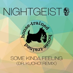 Nightgeist - Some Kinda Feeling (Dr. Kucho! Remix)