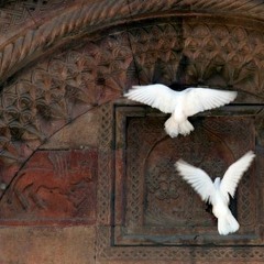 Selda Bağcan -  Minnet Eylemem