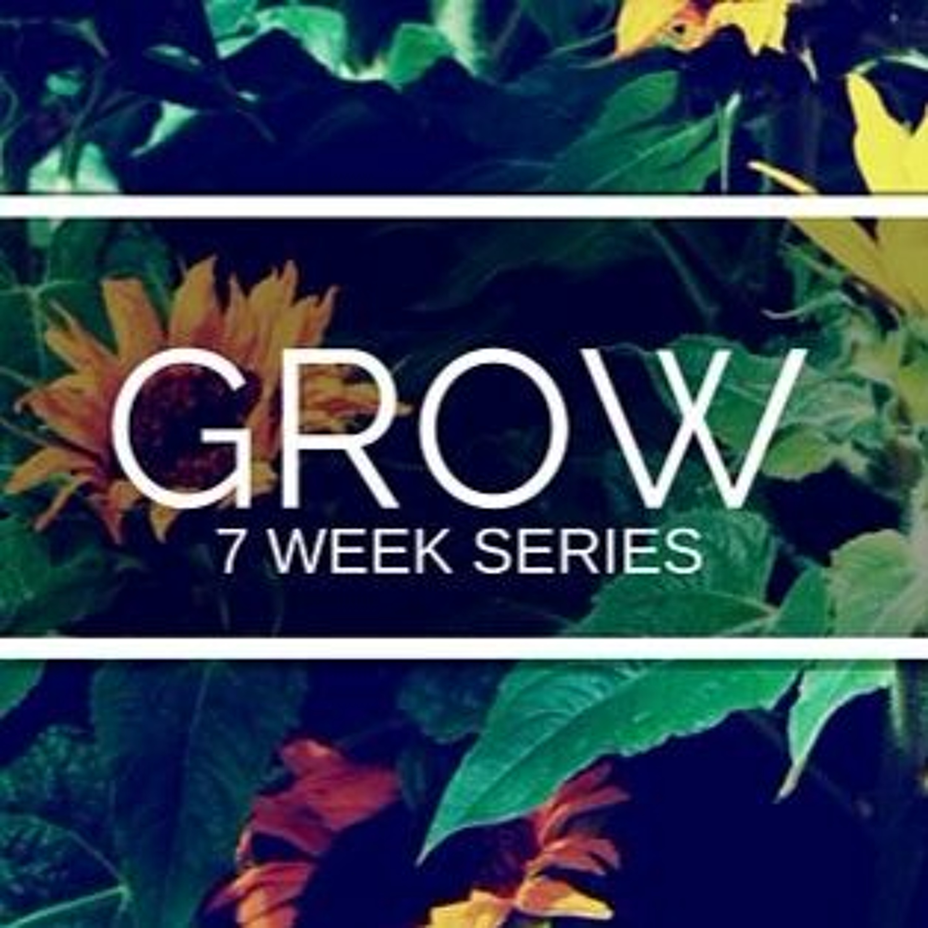 "Grow In Compassion" by Dave Sim || 01.03.2016 episode artwork