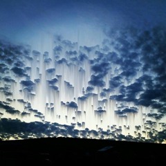 Jag Tog Din Hand (2004)