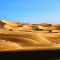 Insider Alternative Version