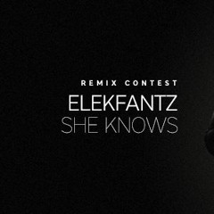 Elekfantz - She Knows (Eric Von Stetina Remix)