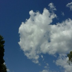 Animal Collective cover Taste/Winter's Love