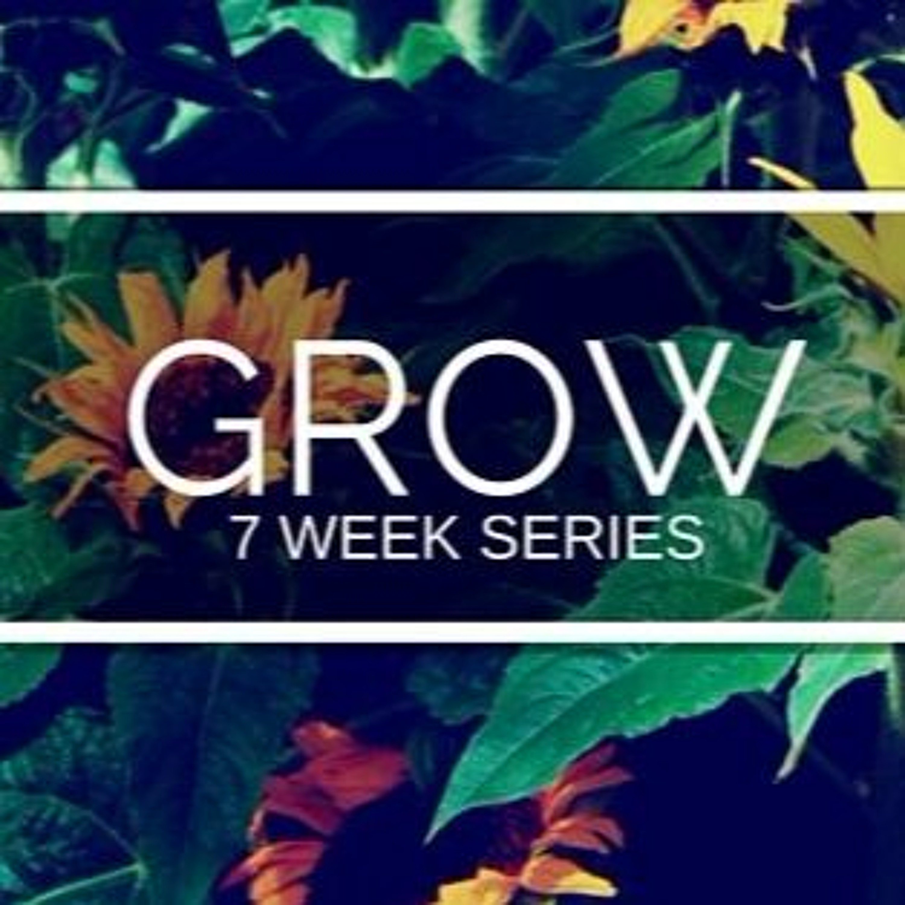 Renew Covenant Church Sermons