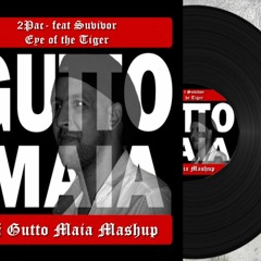 2Pac- feat Suvivor -Eye of the Tiger  Dj Gutto Maia Mashup
