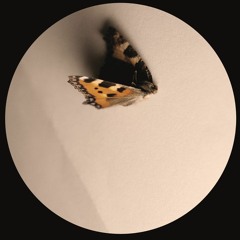 OBQ001 - Ben Buitendijk - Venomous EP - OUT NOW!