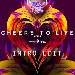 VOICE - CHEERS TO LIFE (TONY STYLEZ INTRO EDIT)