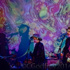 Lonesome Summer-Calling All Freaks, McMenamins 2006