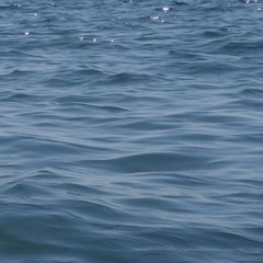 Rickinger - Diving (Rough)