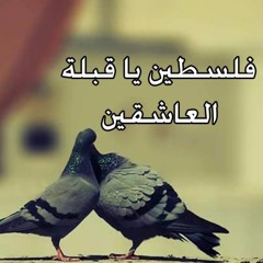 فِلسطينُ يا قبلةَ العاشقين ♥ | رائعةٌ أنتِ يا قُدس