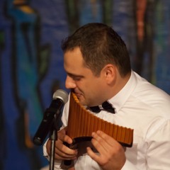 Flavius Tinica - Hora Tiganilor Parsivi