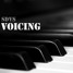 Voicing (Original Mix)
