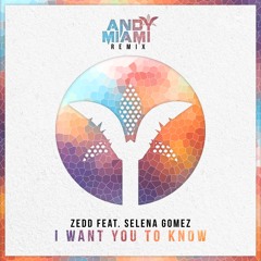 Zedd - I Want You To Know (feat. Selena Gomez) (Andy Miami Remix)