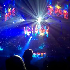 A$AP-ROCKY-LSD-Bassnectar-mix-nye360-2015-2016.mp3