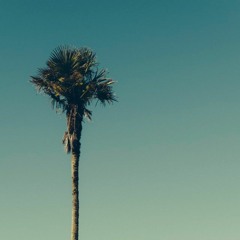 palmtrees_